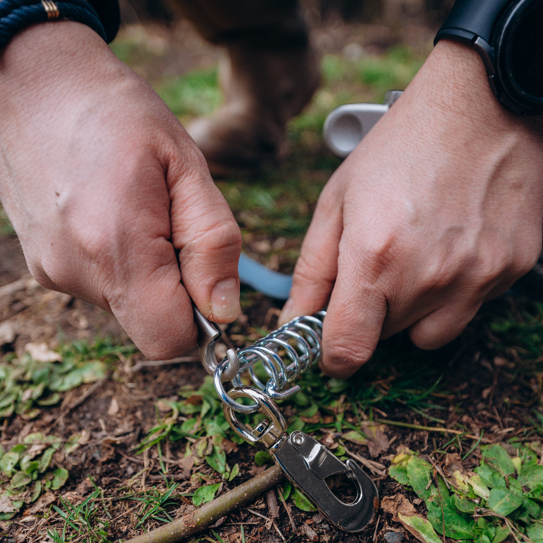 PetPeg 2.0 • Single Item (HP63)