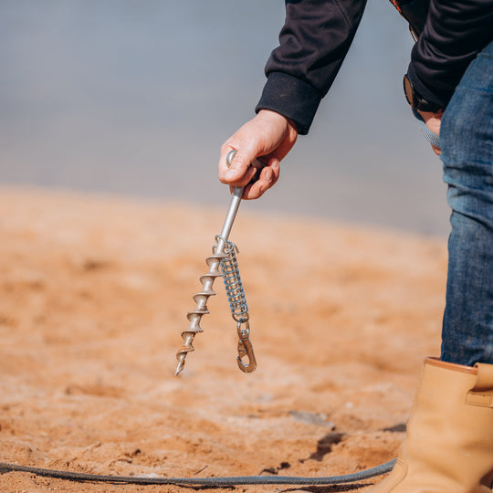 PetPeg 2.0 • Single Item (HP63)